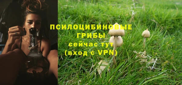 трава Армянск