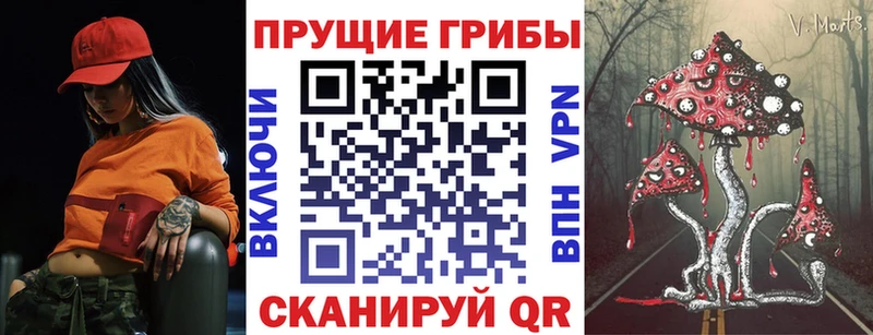 сколько стоит  Солигалич  Псилоцибиновые грибы Magic Shrooms 