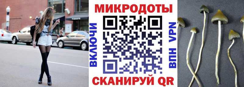 Галлюциногенные грибы GOLDEN TEACHER Солигалич